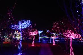 杭州江月园国际灯会