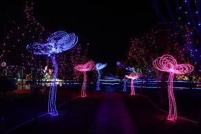 杭州江月园国际灯会