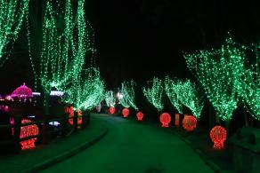 杭州江月园国际灯会