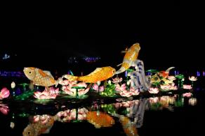 杭州江月园国际灯会