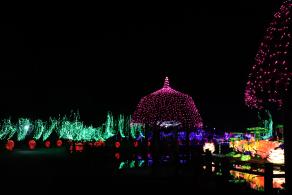 杭州江月园国际灯会