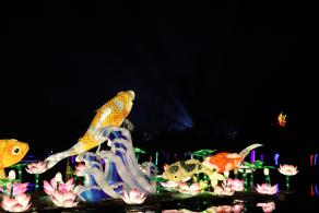 杭州江月园国际灯会