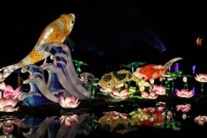 杭州江月园国际灯会