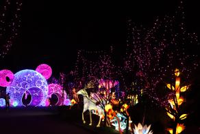 杭州江月园国际灯会