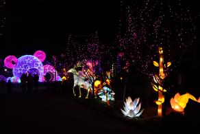 杭州江月园国际灯会