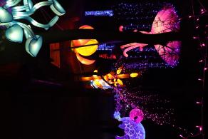 杭州江月园国际灯会