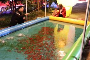 杭州江月园国际灯会