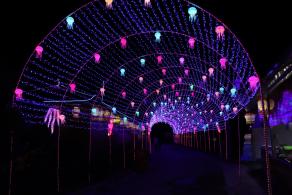 杭州江月园国际灯会