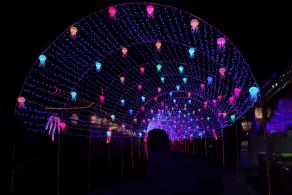 杭州江月园国际灯会