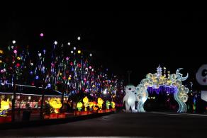 杭州江月园国际灯会