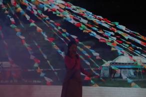 杭州江月园国际灯会