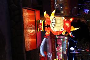 杭州江月园国际灯会