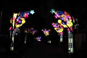 杭州江月园国际灯会