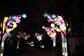 杭州江月园国际灯会