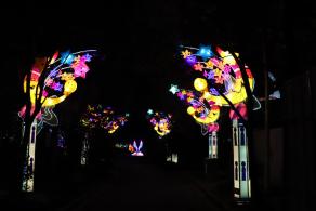 杭州江月园国际灯会