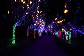 杭州江月园国际灯会