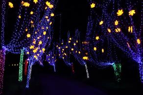 杭州江月园国际灯会