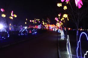 杭州江月园国际灯会