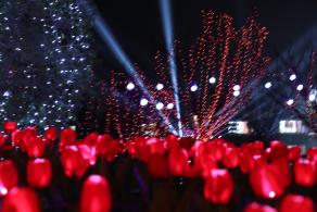 杭州江月园国际灯会