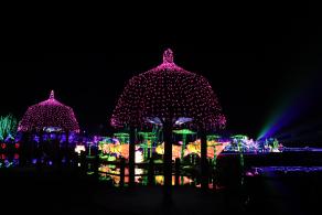 杭州江月园国际灯会