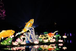 杭州江月园国际灯会