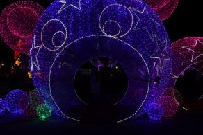 杭州江月园国际灯会