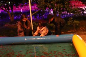 杭州江月园国际灯会