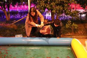 杭州江月园国际灯会