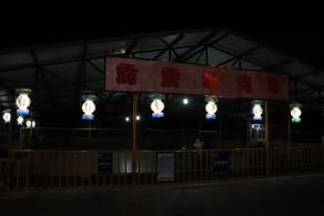 杭州江月园国际灯会