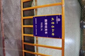 杭州江月园国际灯会