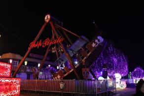 杭州江月园国际灯会