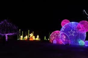 杭州江月园国际灯会