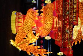 杭州江月园国际灯会