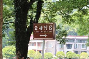 云栖竹径