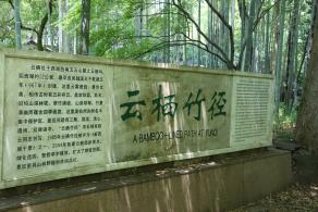 云栖竹径