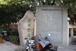 杭州朝晖公园银杏