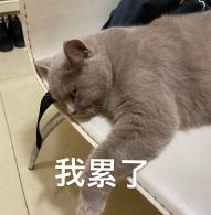 累，累了，无奈，哭了，躺平，表情包