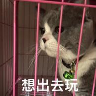 玩