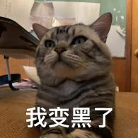 天气