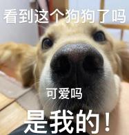 可爱