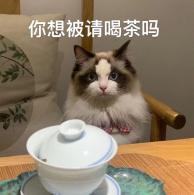喝茶