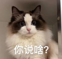 疑问