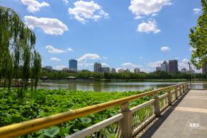 莲花池公园