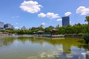 莲花池公园