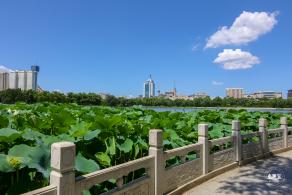 莲花池公园
