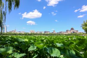 莲花池公园