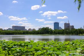 莲花池公园