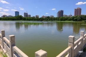 莲花池公园