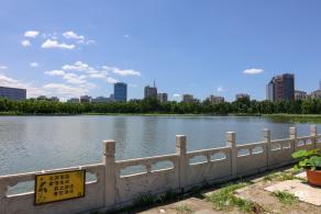 莲花池公园