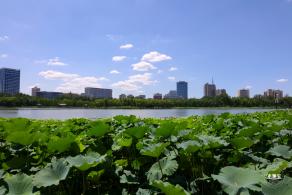 莲花池公园